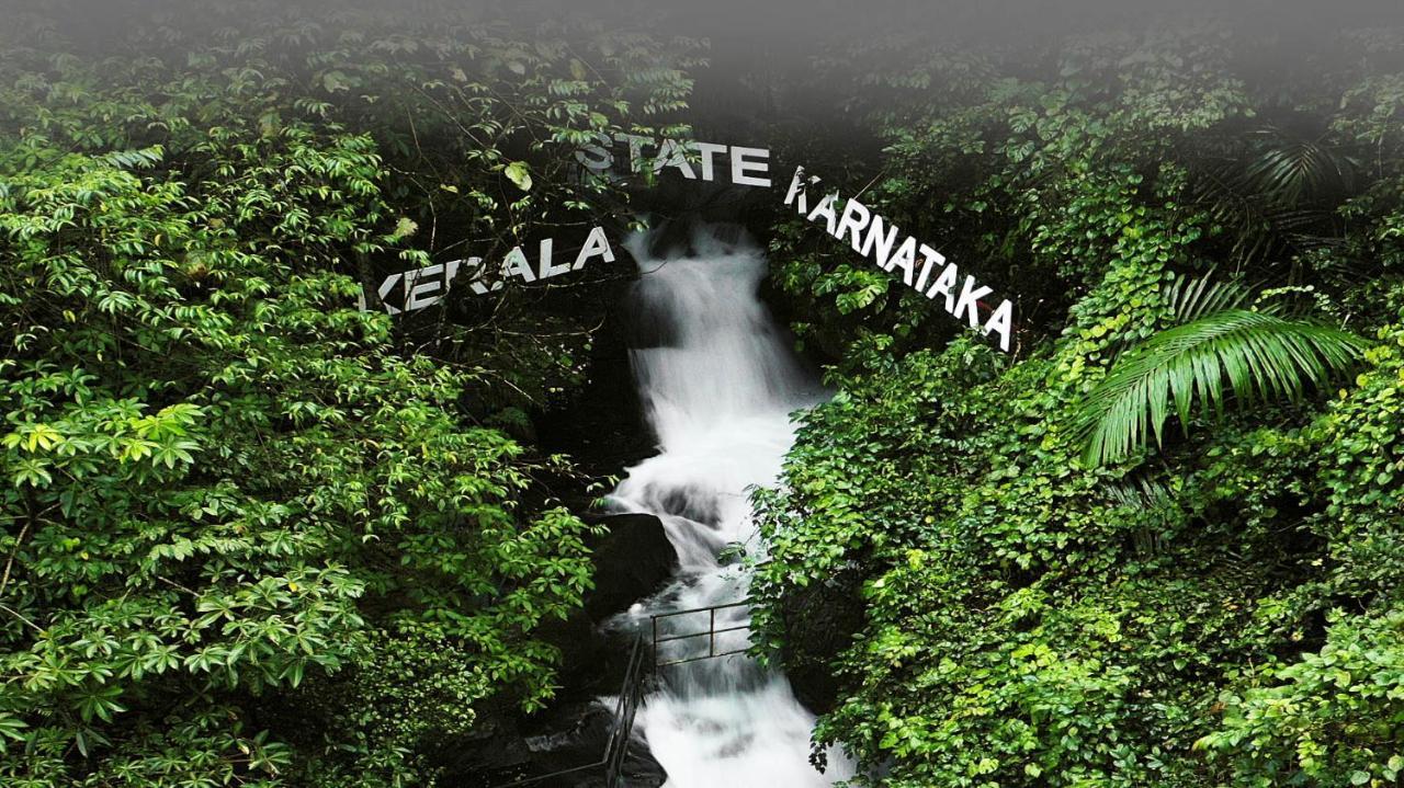 Holistic Stay Eco-Resort & Ayurvedic Retreat Paithalmala Eksteriør bilde