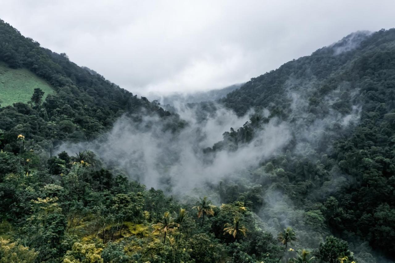 Holistic Stay Eco-Resort & Ayurvedic Retreat Paithalmala Eksteriør bilde