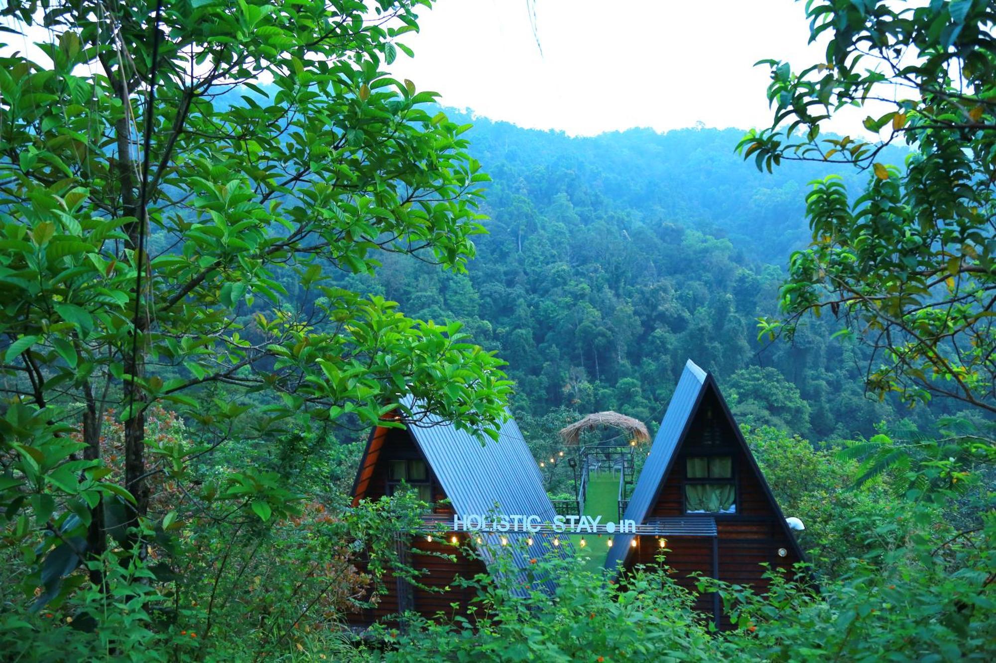 Holistic Stay Eco-Resort & Ayurvedic Retreat Paithalmala Eksteriør bilde