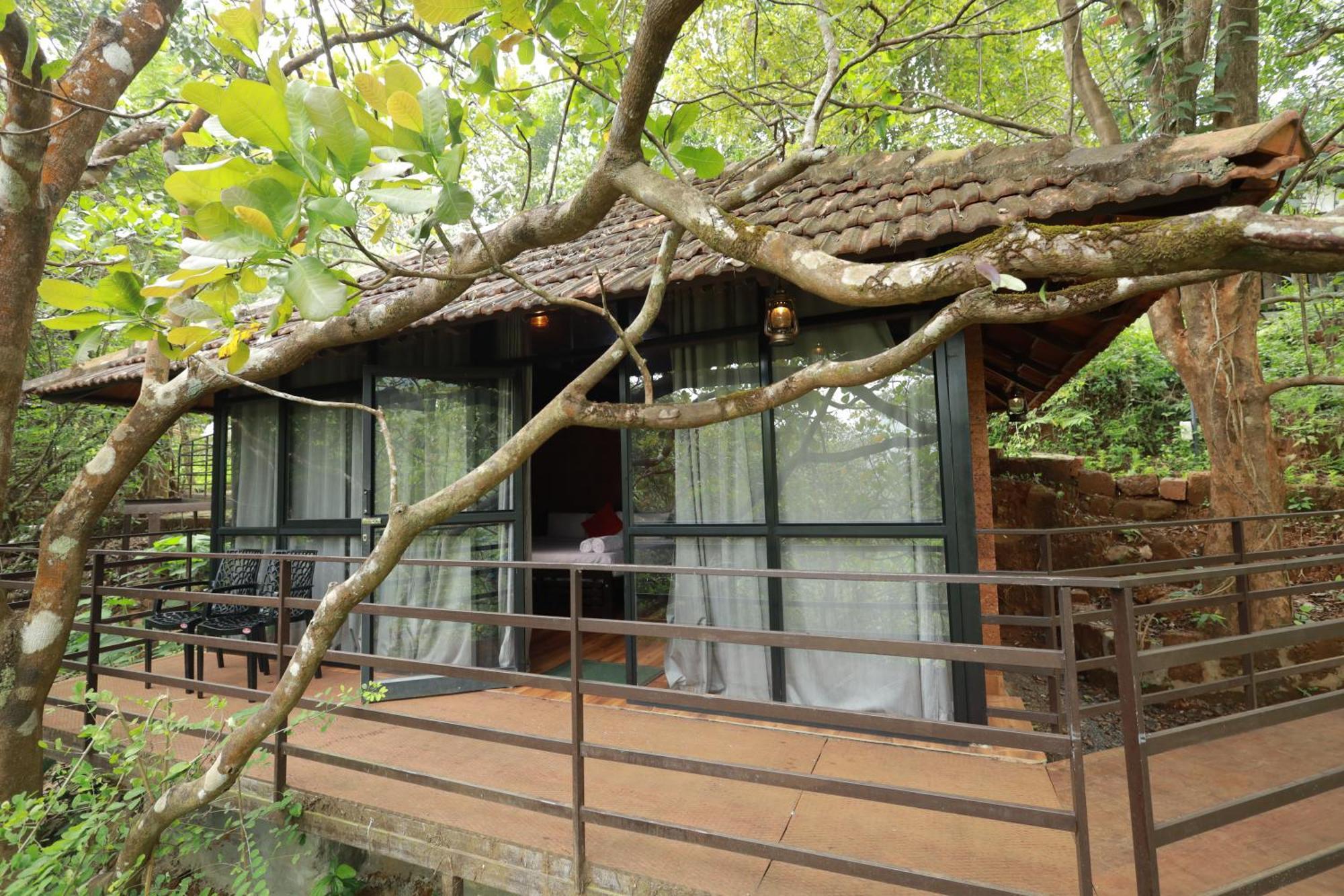 Holistic Stay Eco-Resort & Ayurvedic Retreat Paithalmala Eksteriør bilde